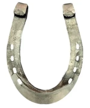 AB Mule #5 Heeled Horseshoe