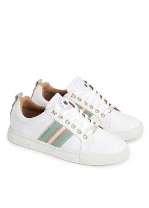 Boston Trainer