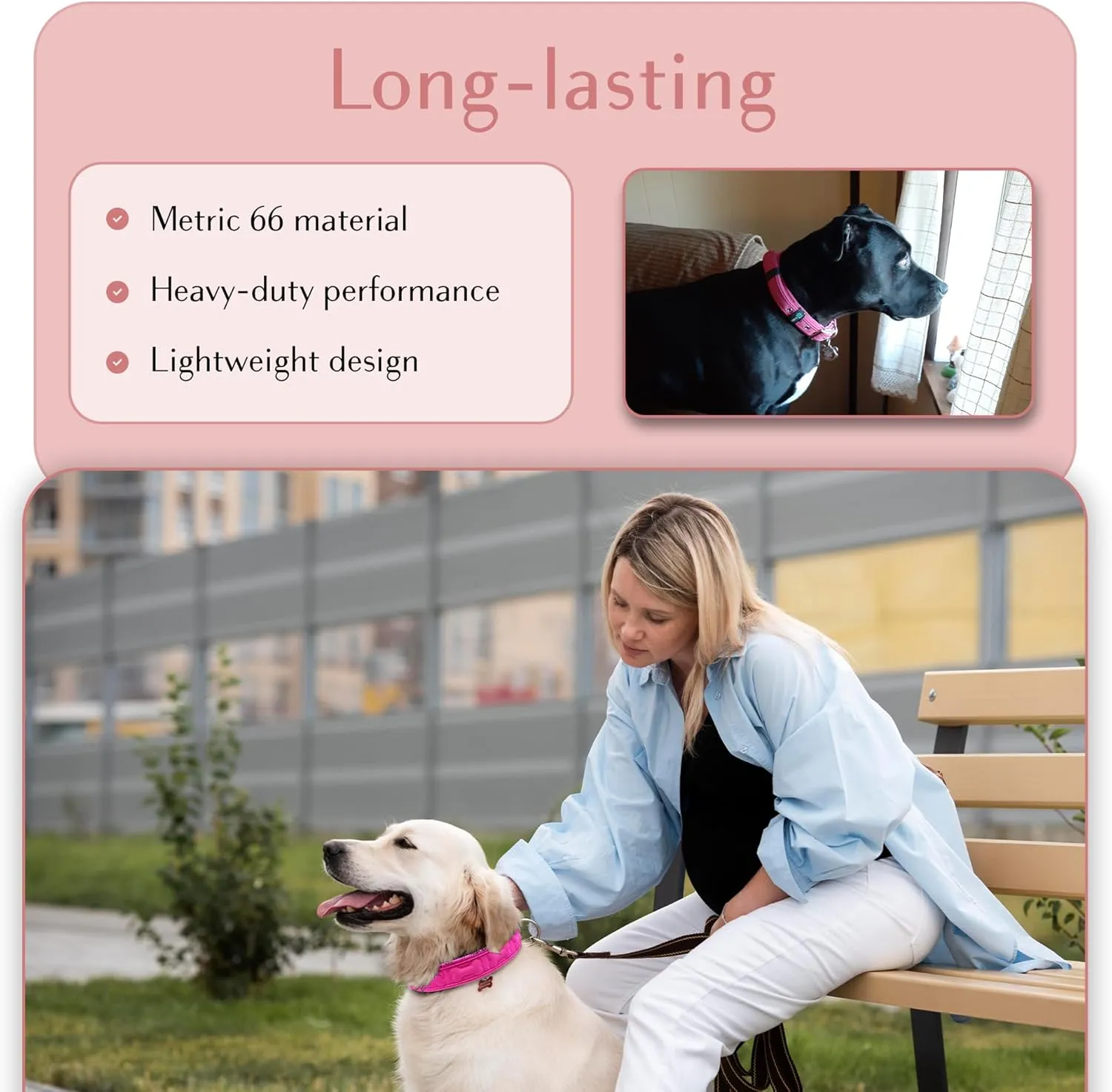 Comfort Fit Soft Padded Dog Collar with Adjustable Buckle - Lightweight, Breathable Dog Training Collar with Customizable Fit - Durable Heavy Duty Dog Collar