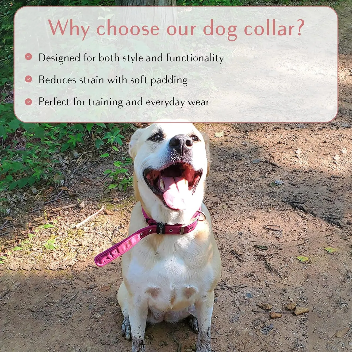 Comfort Fit Soft Padded Dog Collar with Adjustable Buckle - Lightweight, Breathable Dog Training Collar with Customizable Fit - Durable Heavy Duty Dog Collar