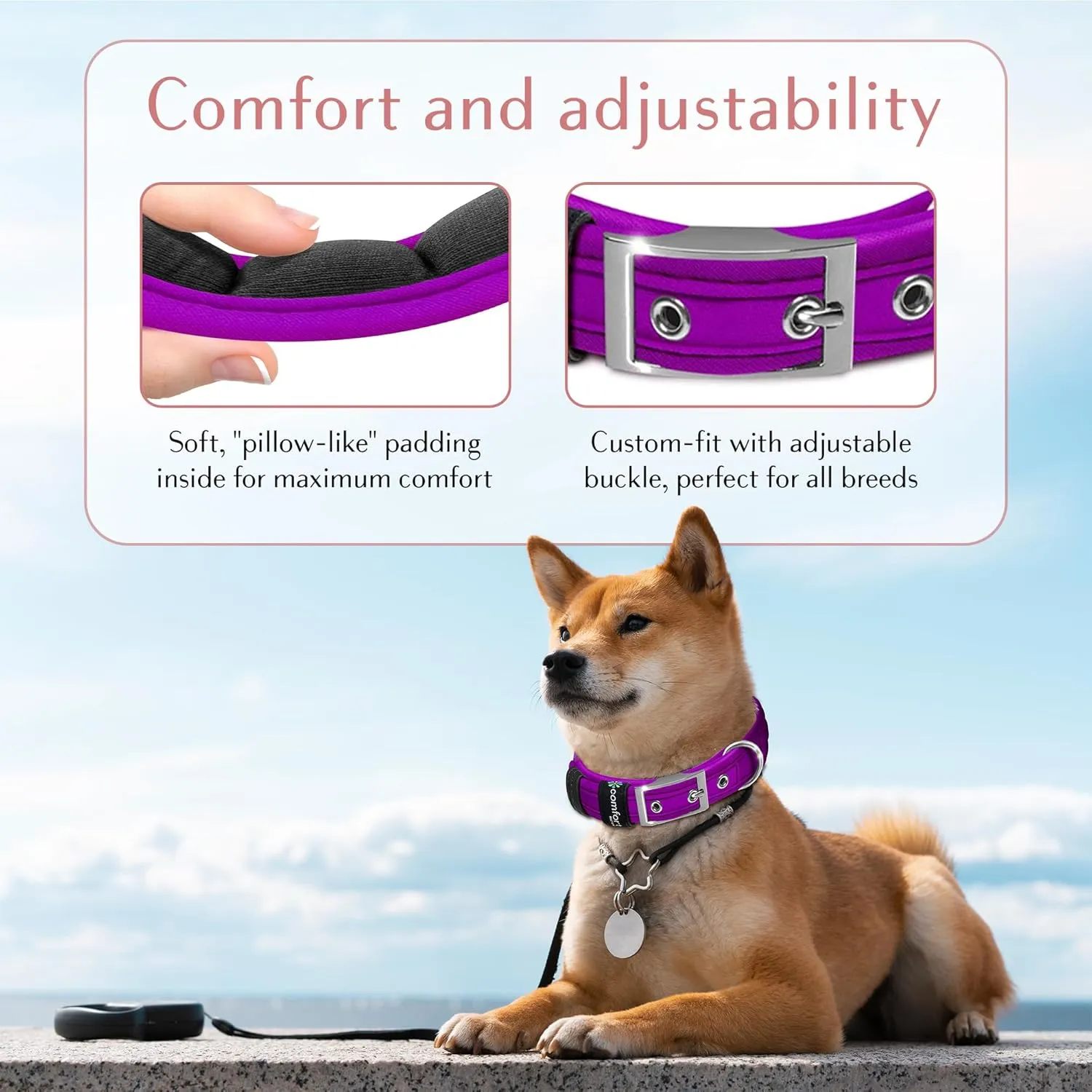 Comfort Fit Soft Padded Dog Collar with Adjustable Buckle - Lightweight, Breathable Dog Training Collar with Customizable Fit - Durable Heavy Duty Dog Collar