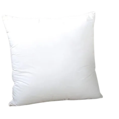 Durable Microfibre Cushion Filler 60X60