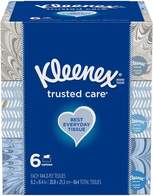 Everyday Facial 144 Tissues per Flat Boxes, 12 Boxes