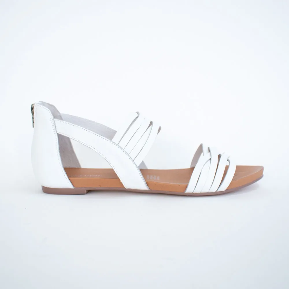 Jewelsy White