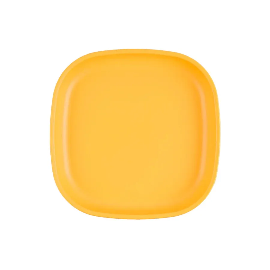 Large Flat Plate