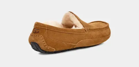Men's Ascot Slipper