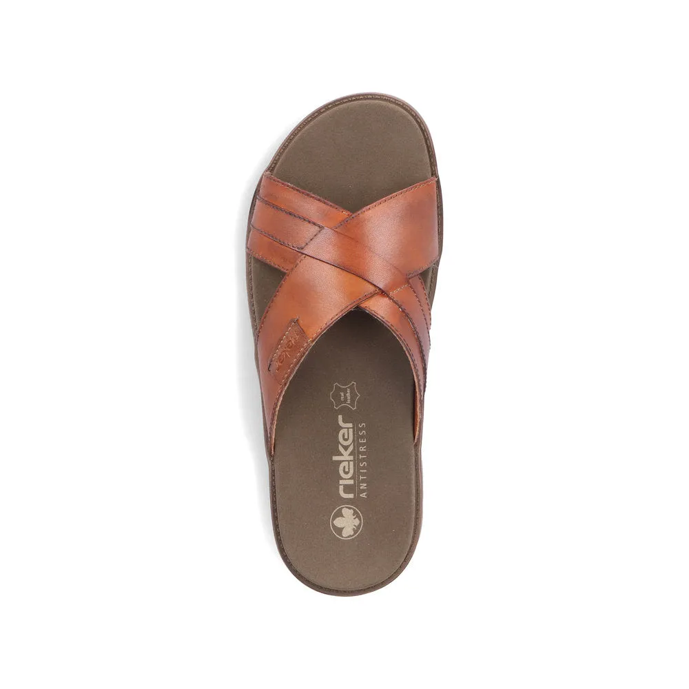 Noakes 243 - Brown
