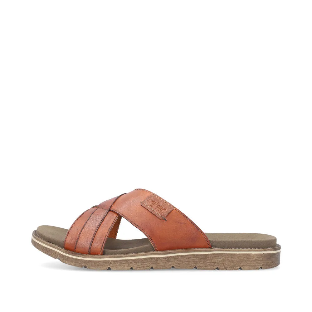 Noakes 243 - Brown