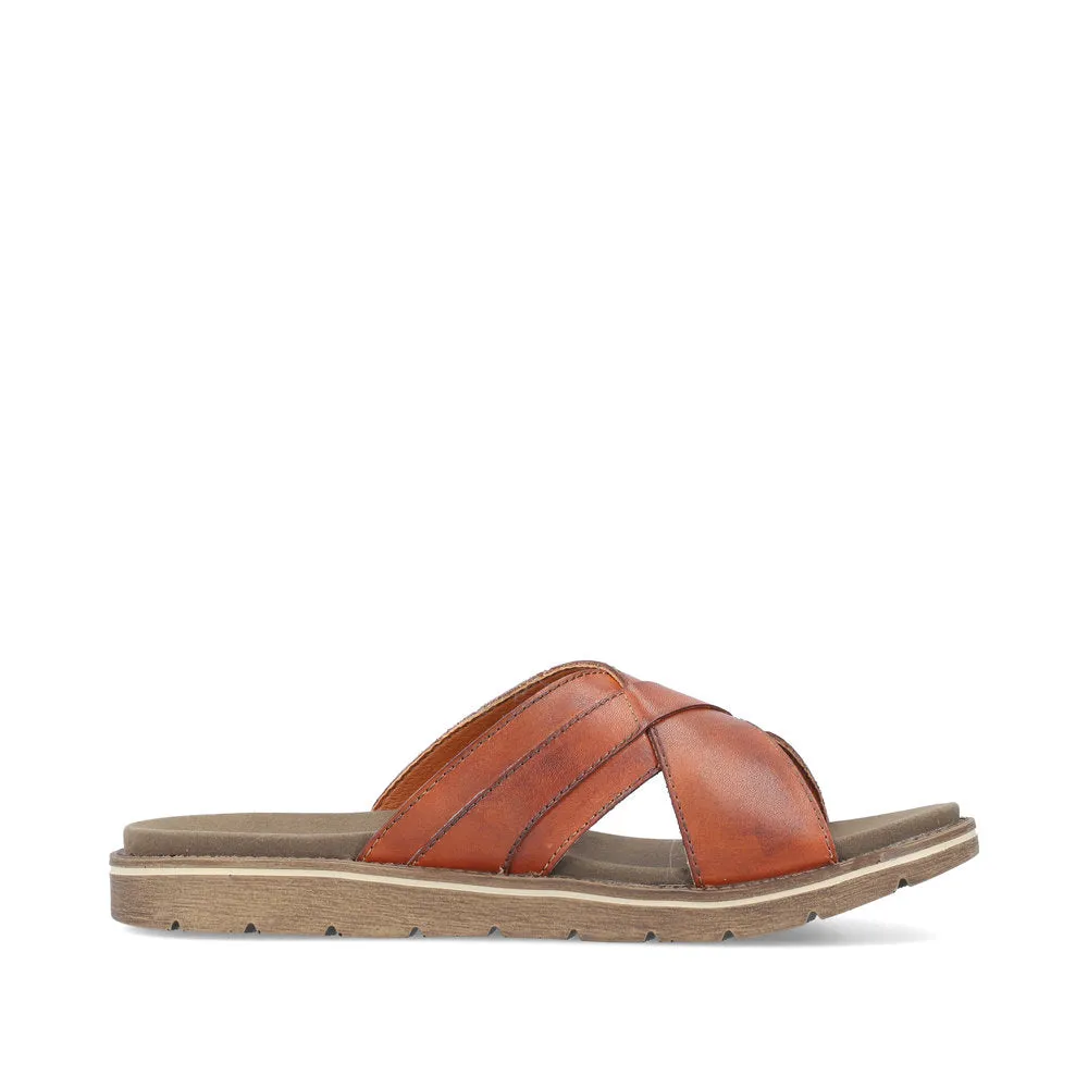 Noakes 243 - Brown