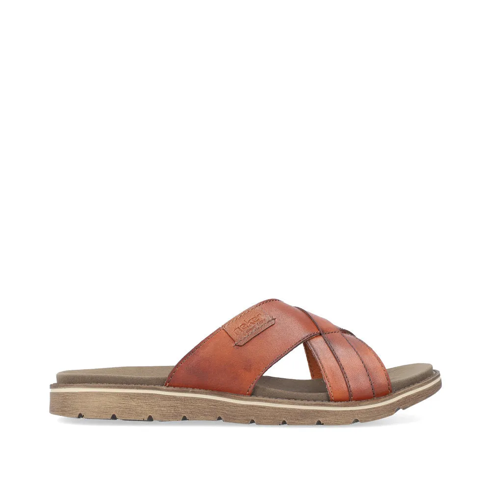 Noakes 243 - Brown