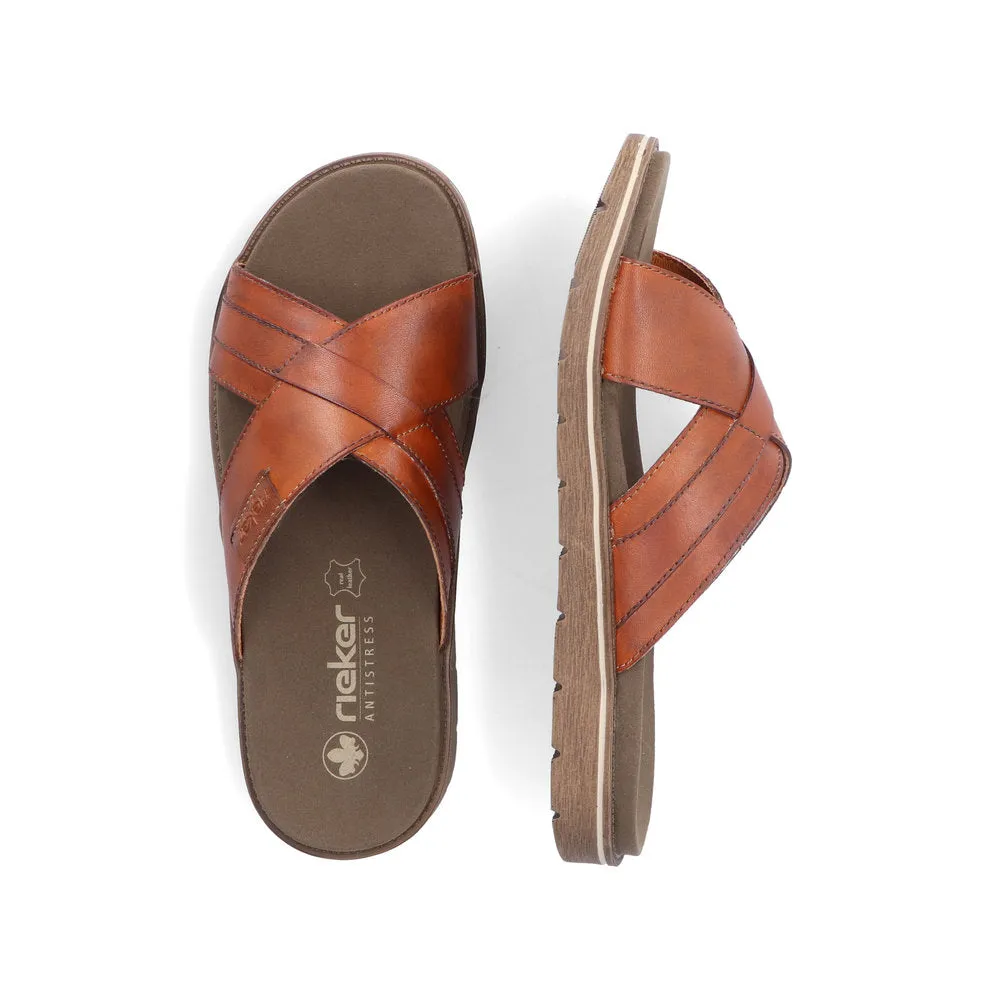 Noakes 243 - Brown