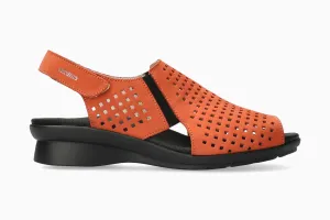 Polka - Scarlet Red