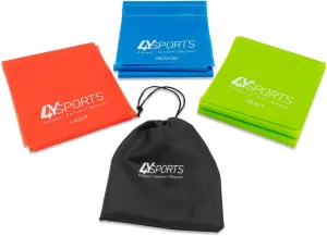 Resistance Bands for Physical Therapy & Exercise - Durable, Non-Slip, Latex-Free Bands - Carry Bag Included