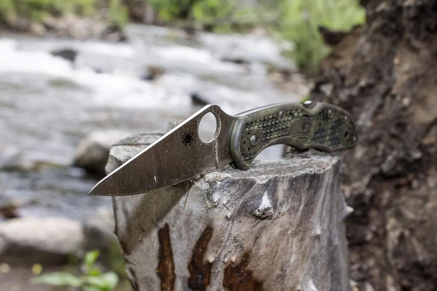 Spyderco Delica 4 Signature Knife with 2.95" Saber-Ground VG-10 Steel Blade and Durable Stainless Steel Handle - C11P