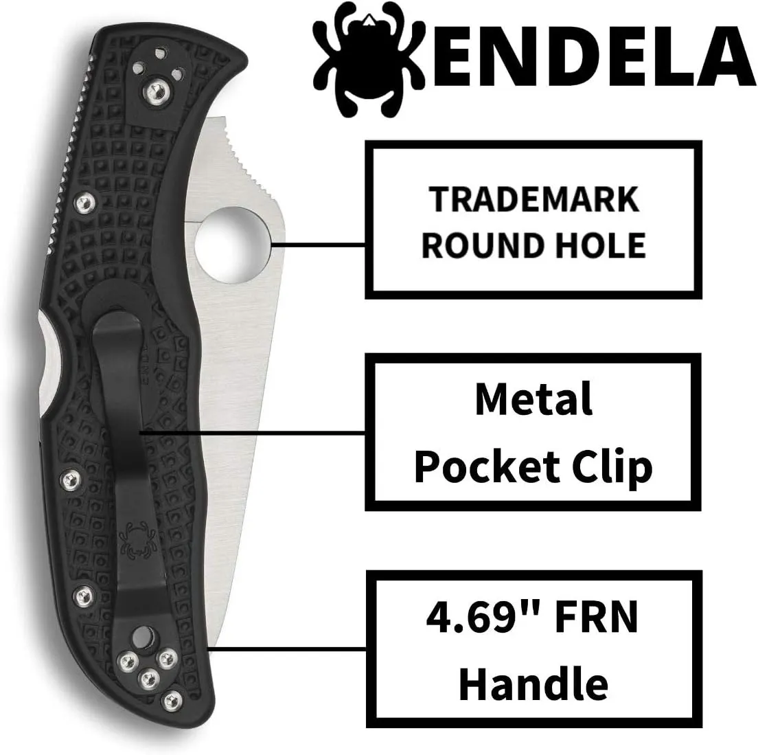 Spyderco Endela Lightweight Knife with 3.41" VG-10 Stainless Steel Blade and Durable FRN Handle - PlainEdge - C243PBK