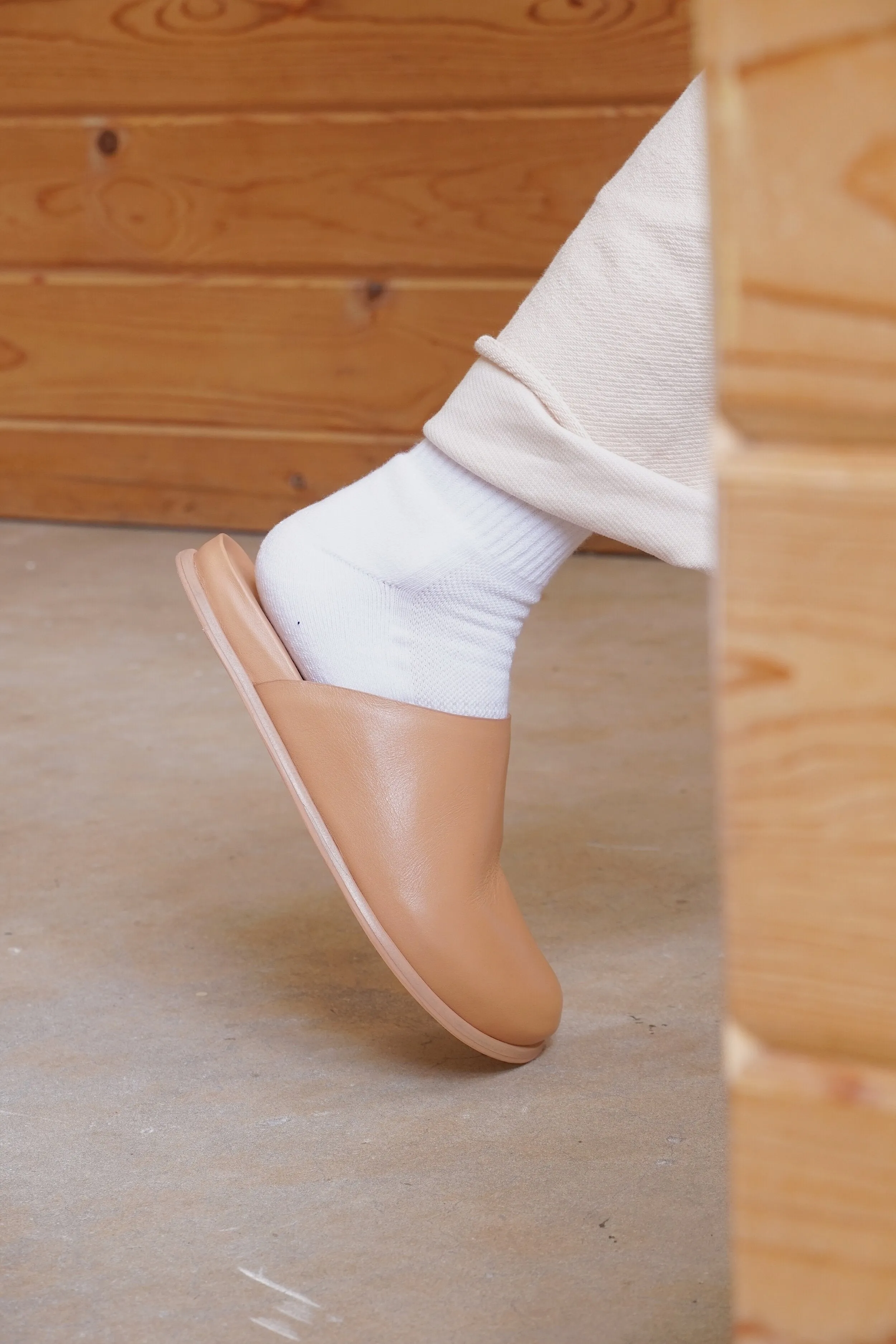 Standard Mule - Camel