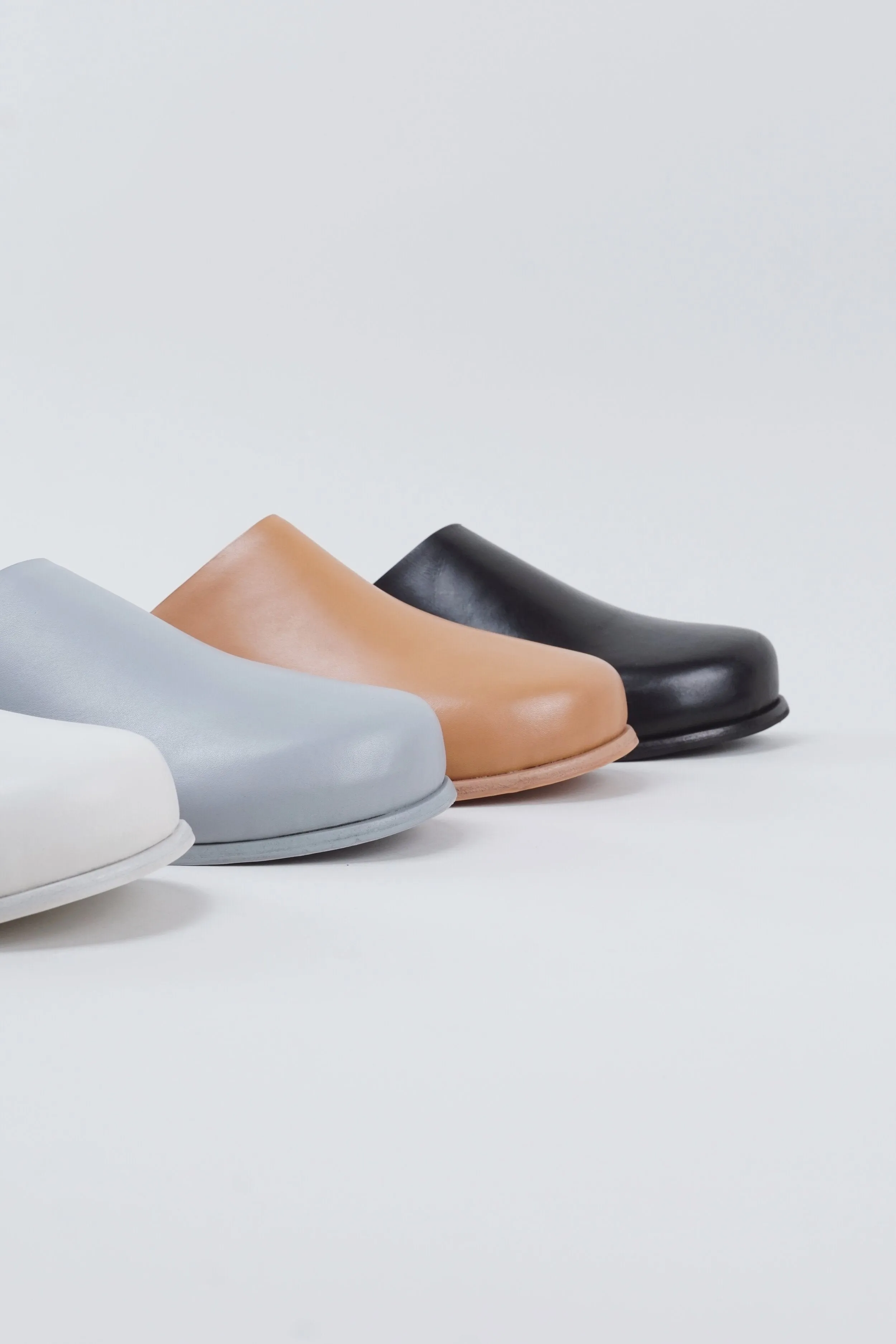 Standard Mule - Camel