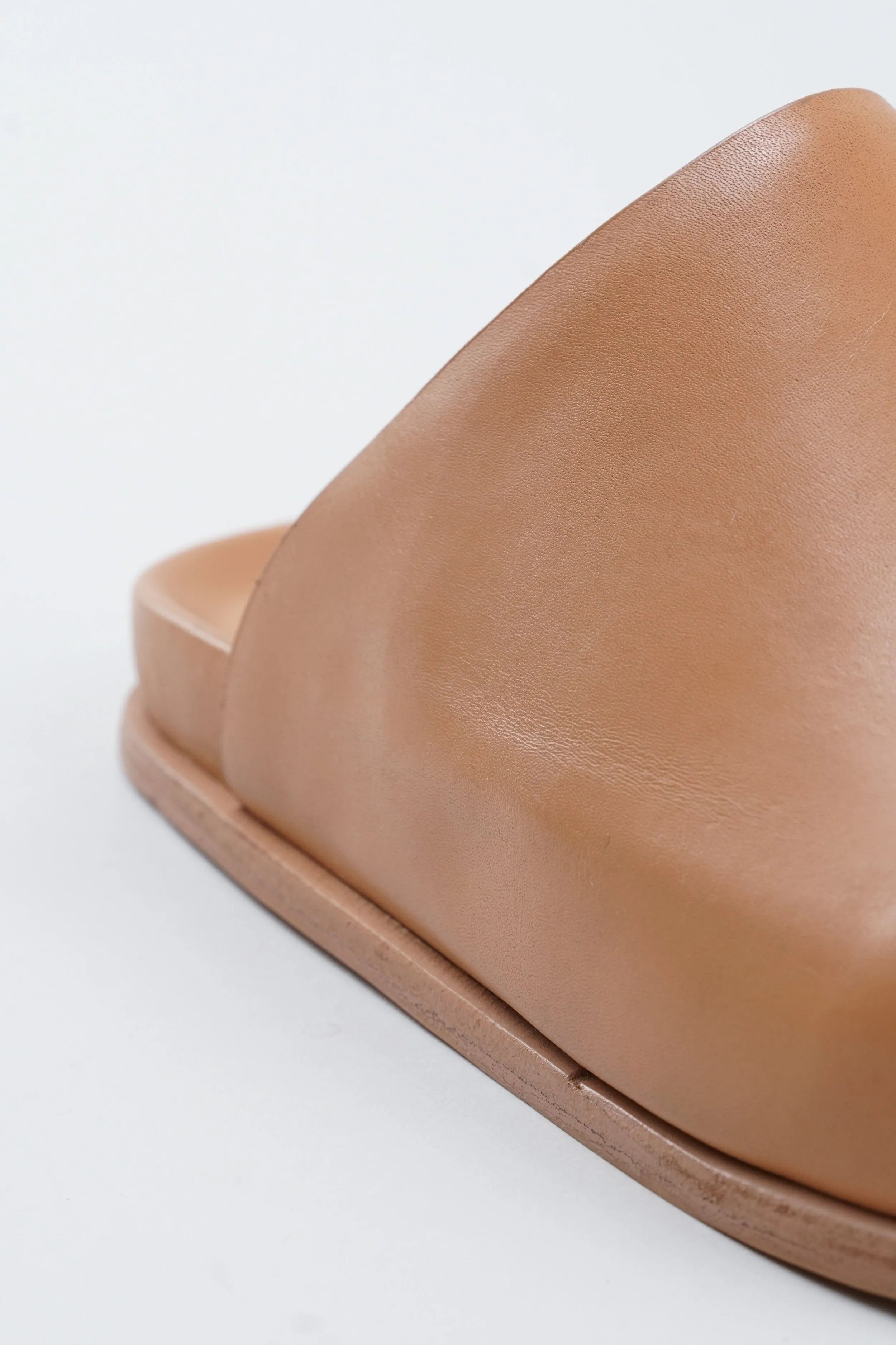Standard Mule - Camel