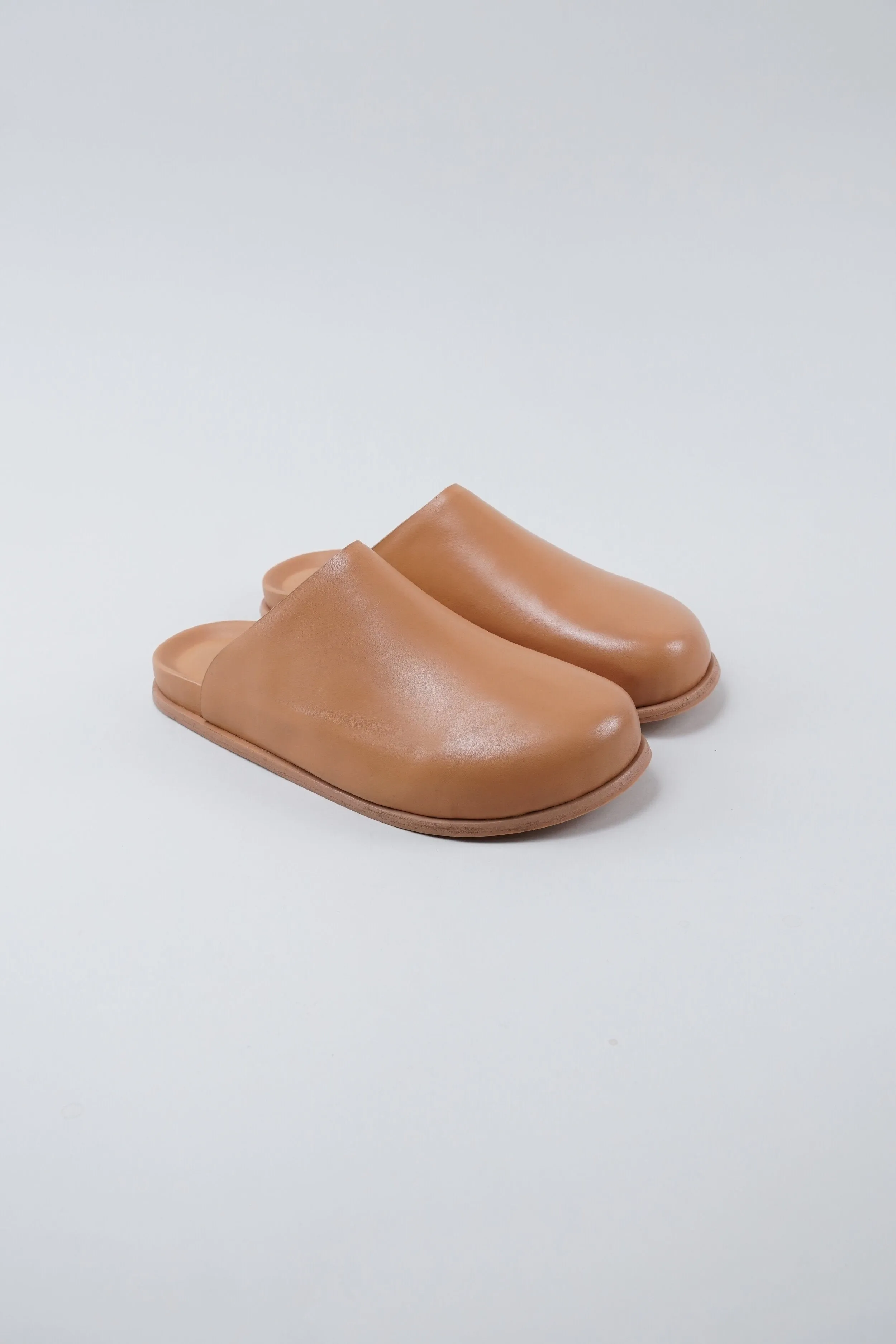 Standard Mule - Camel