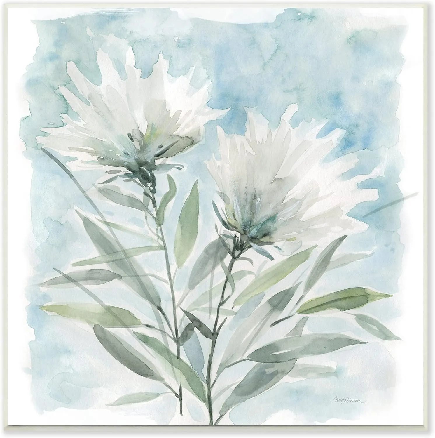 Stupell Industries Abstract Watercolor Florals White Petals Blue Sky, Design by Carol Robinson Wall Plaque, 12 x 12